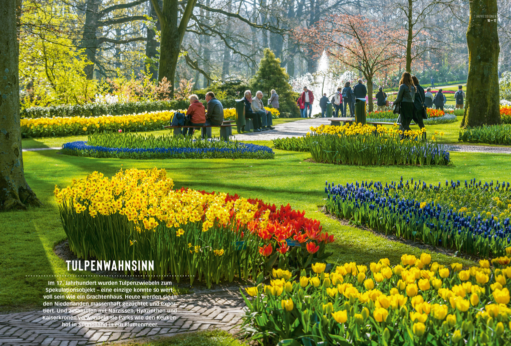 Weitere Ansicht: DUMONT Bildatlas Niederlande | Christian Nowak, Rasso Knoller