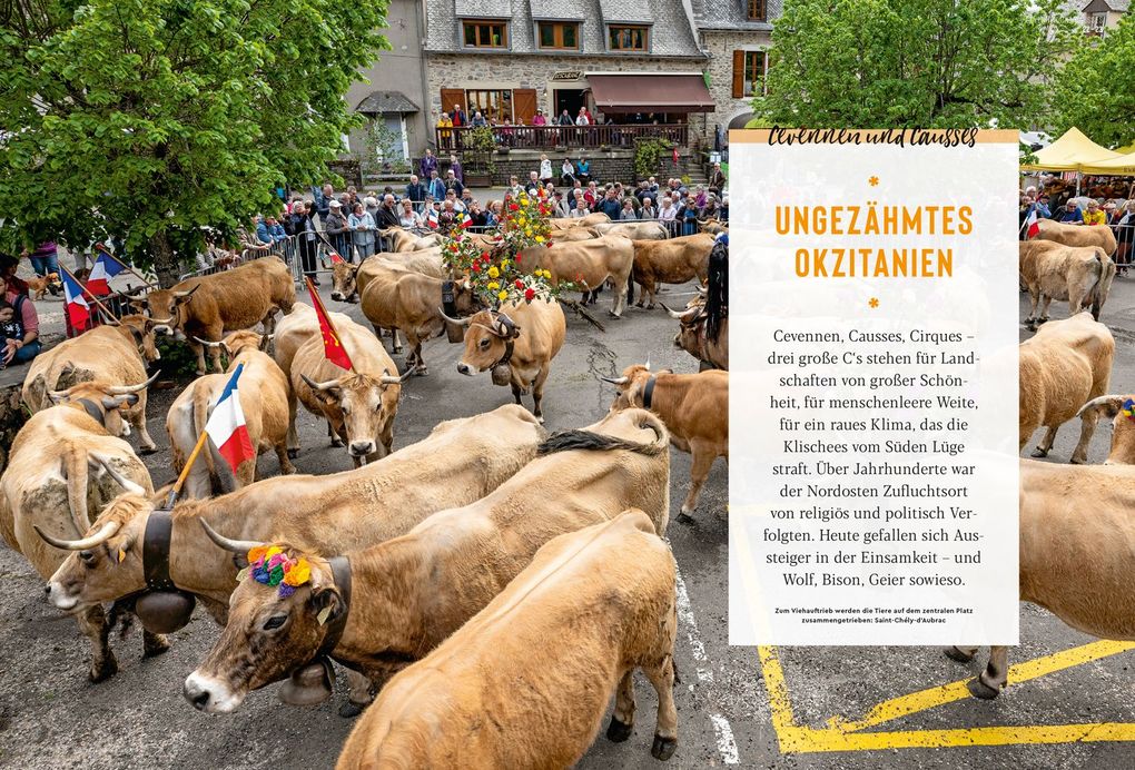 Weitere Ansicht: DUMONT Bildatlas Frankreich Südwesten, Okzitanien | Klaus Simon