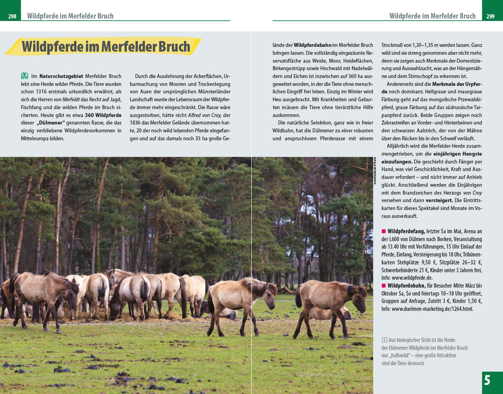 Weitere Ansicht: Reise Know-How Reiseführer Münsterland | Hans Otzen, Barbara Otzen