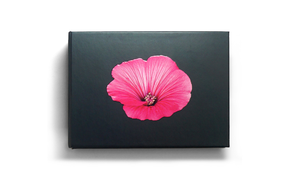 Weitere Ansicht: The Blooming Book