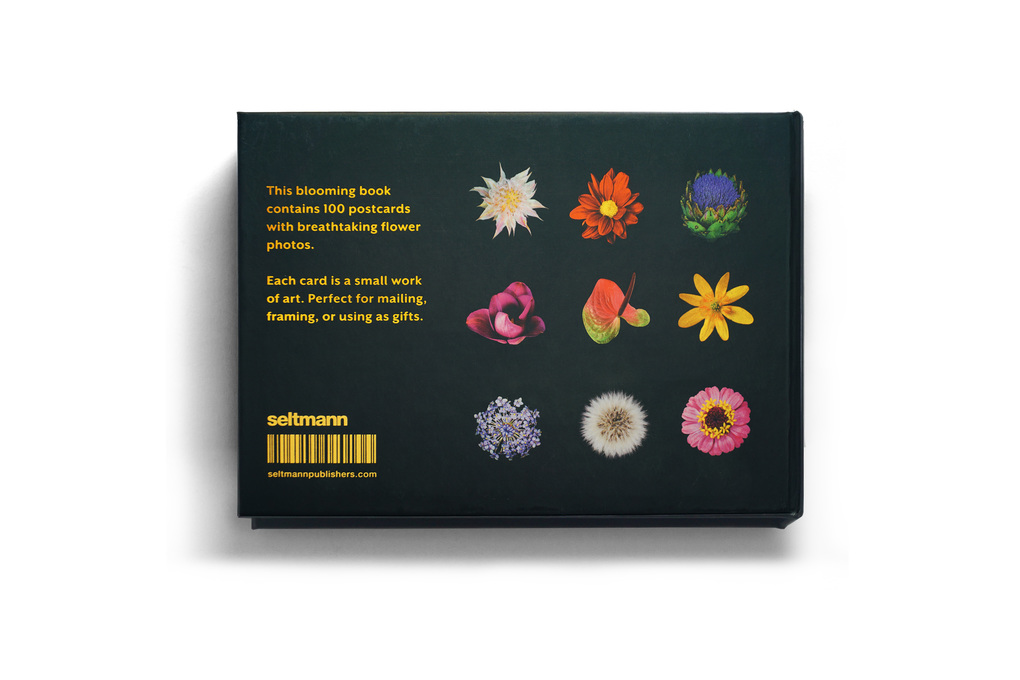 Weitere Ansicht: The Blooming Book