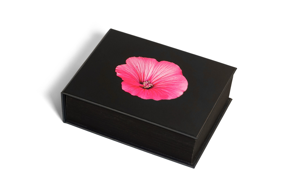 Weitere Ansicht: The Blooming Book