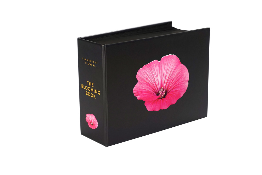 Weitere Ansicht: The Blooming Book