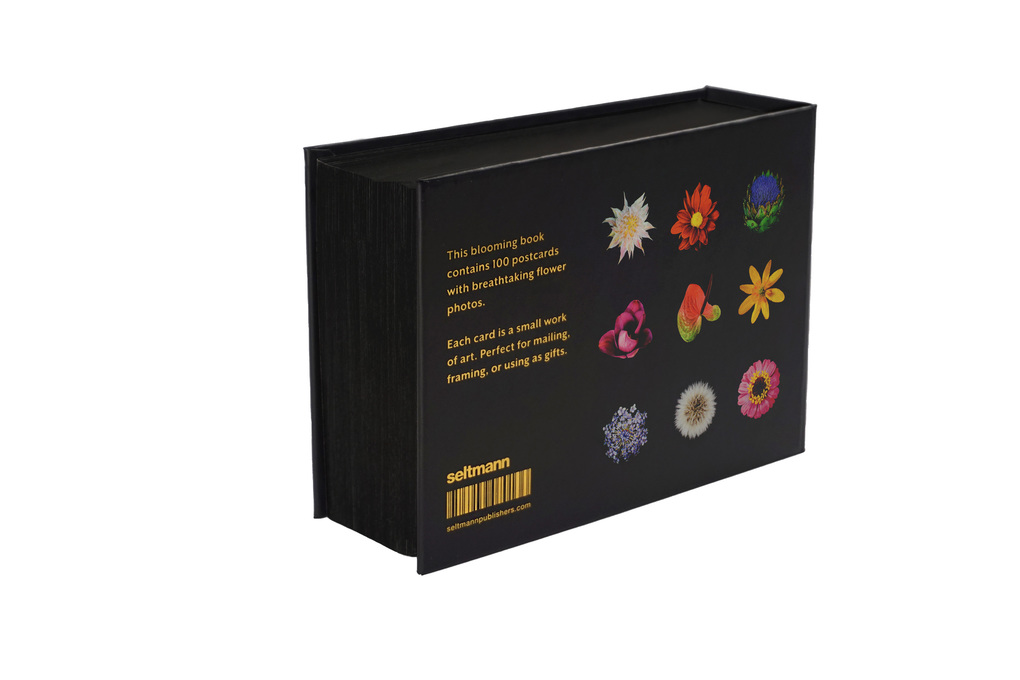 Weitere Ansicht: The Blooming Book