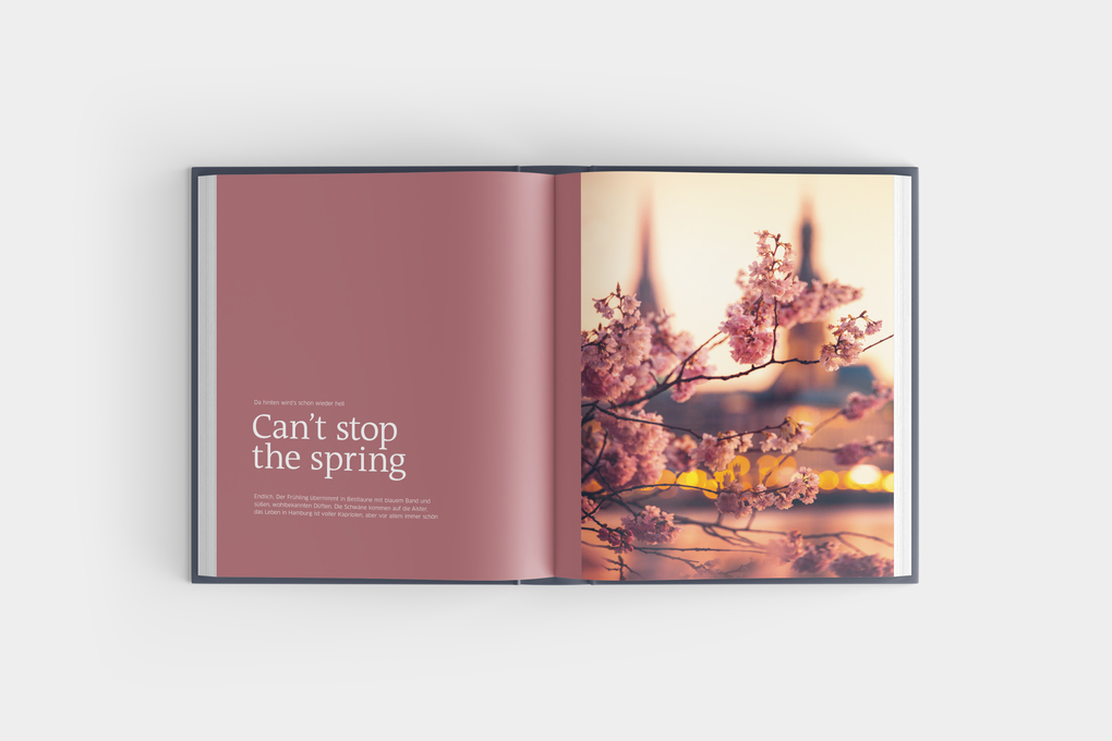 Weitere Ansicht: Der Hamburger