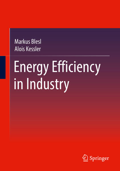 Produktbild: Energy Efficiency in Industry | Markus Blesl, Alois Kessler