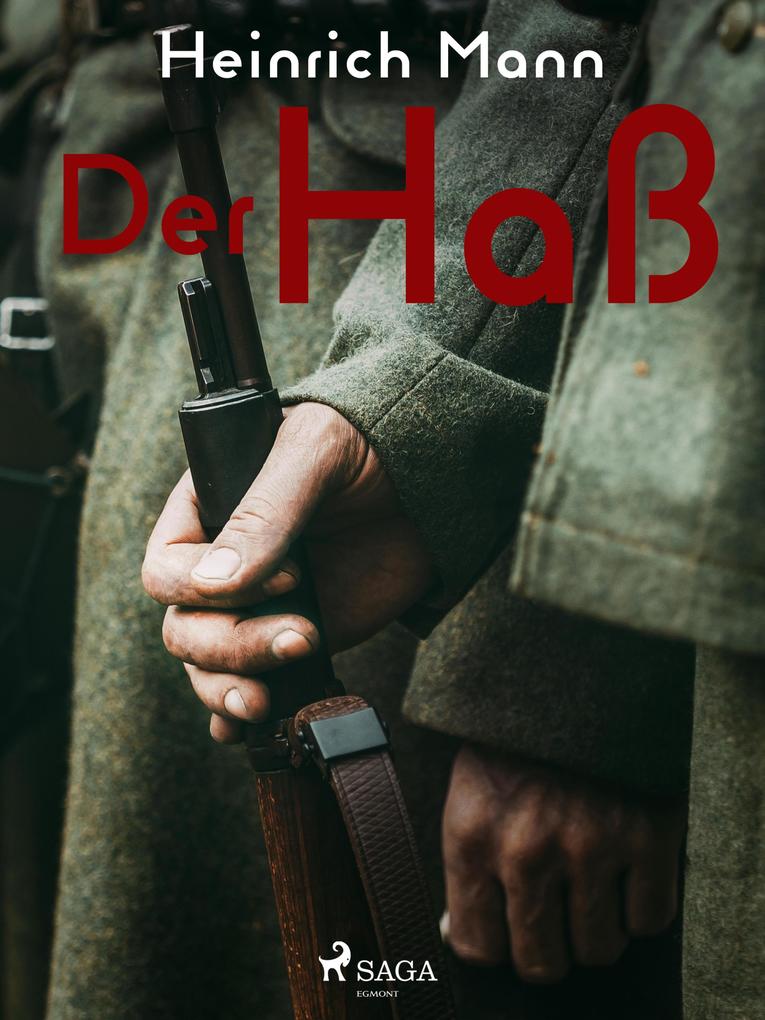 Produktbild: Der Haß | Heinrich Mann