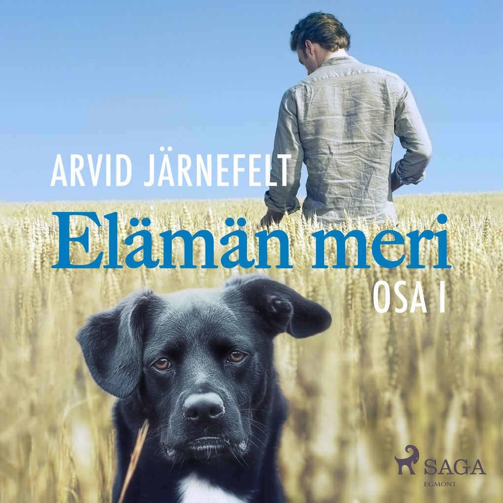 Produktbild: Elämän meri, osa 1 | Arvid Järnefelt