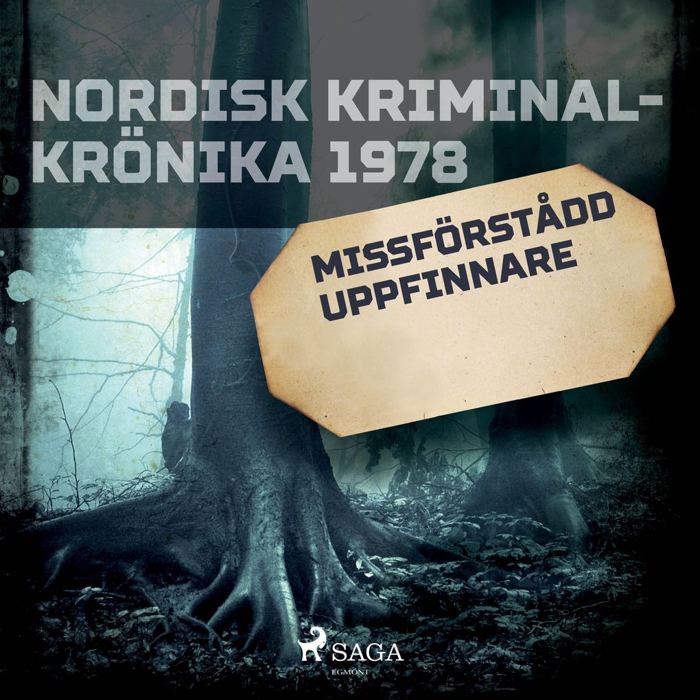 Produktbild: Missförstådd uppfinnare | Diverse