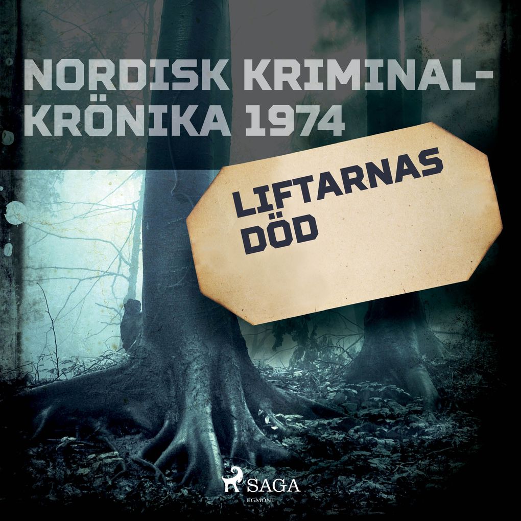 Produktbild: Liftarnas död | Diverse