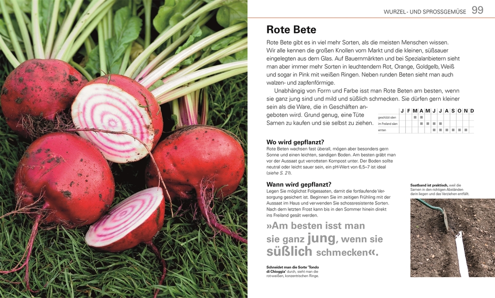 Weitere Ansicht: Gemüse für jeden Garten | Alan Buckingham