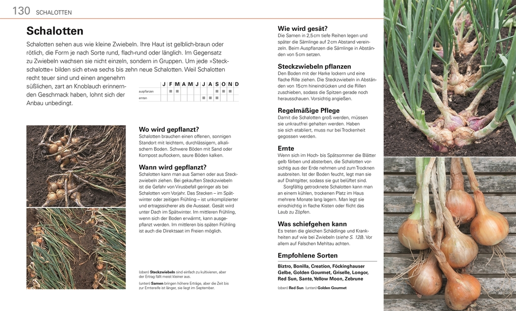 Weitere Ansicht: Gemüse für jeden Garten | Alan Buckingham