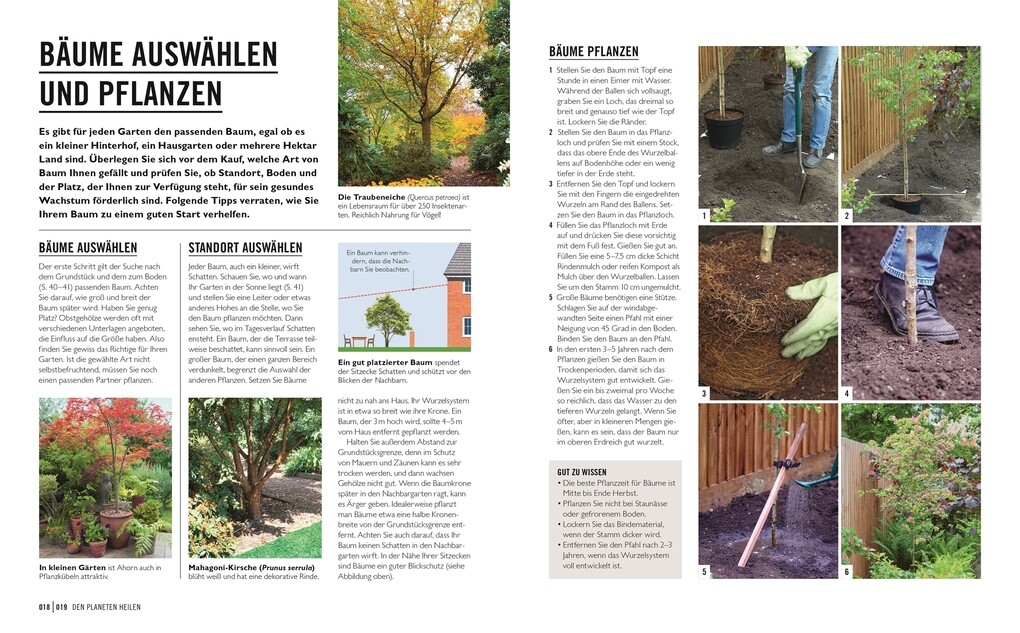 Weitere Ansicht: Grünes Gartenwissen. Ökologisch gärtnern | Zia Allaway