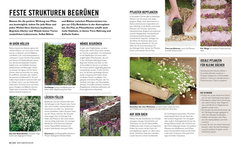 Weitere Ansicht: Grünes Gartenwissen. Ökologisch gärtnern | Zia Allaway