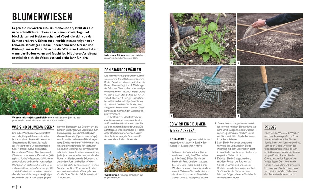 Weitere Ansicht: Grünes Gartenwissen. Ökologisch gärtnern | Zia Allaway