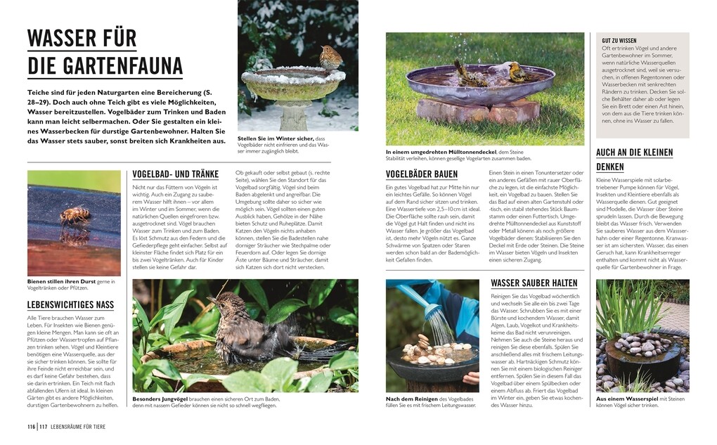 Weitere Ansicht: Grünes Gartenwissen. Ökologisch gärtnern | Zia Allaway