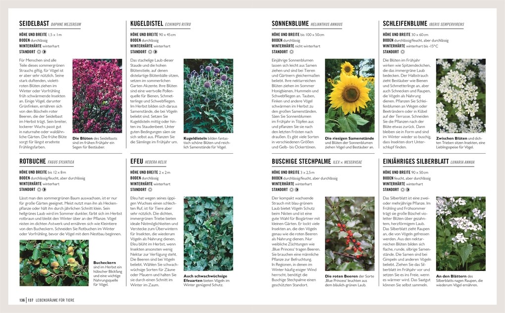 Weitere Ansicht: Grünes Gartenwissen. Ökologisch gärtnern | Zia Allaway