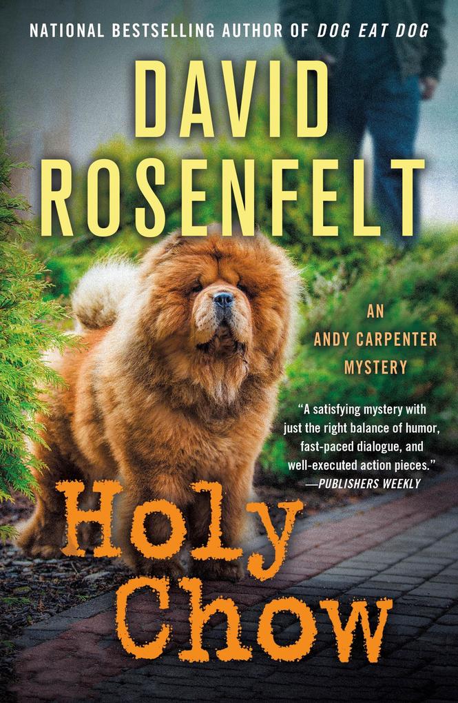 Produktbild: Holy Chow | David Rosenfelt