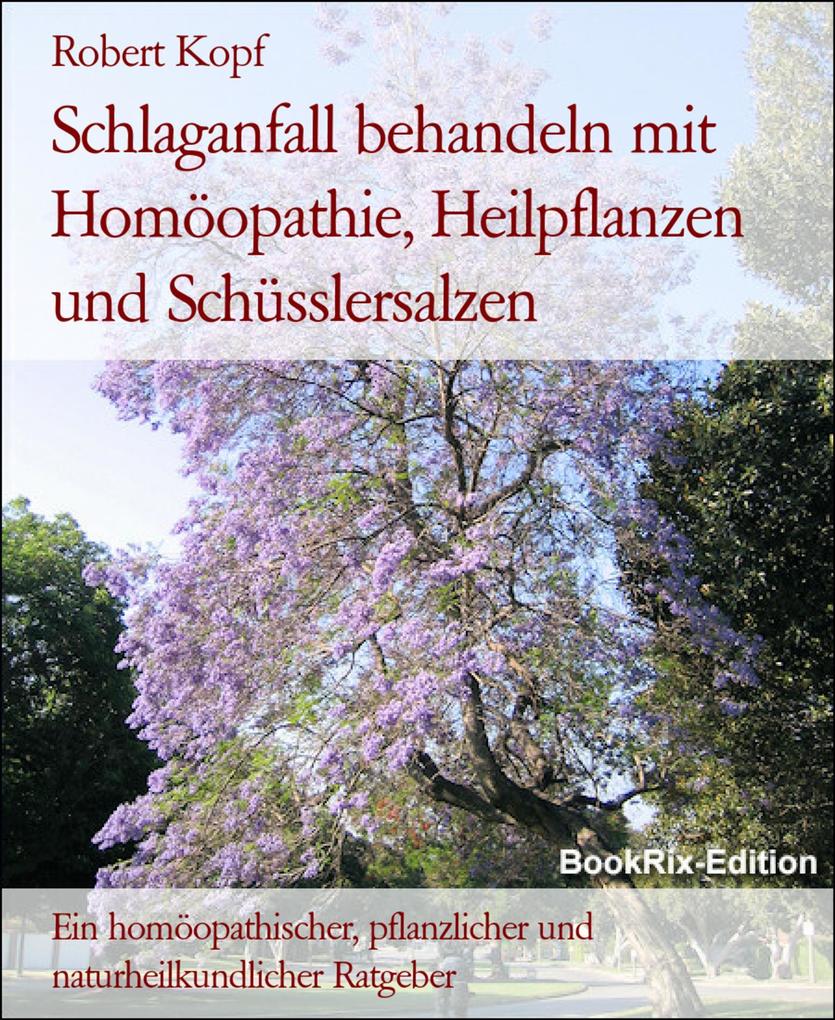 Produktbild: Schlaganfall behandeln mit Homöopathie, Heilpflanzen und Schüsslersalzen | Robert Kopf