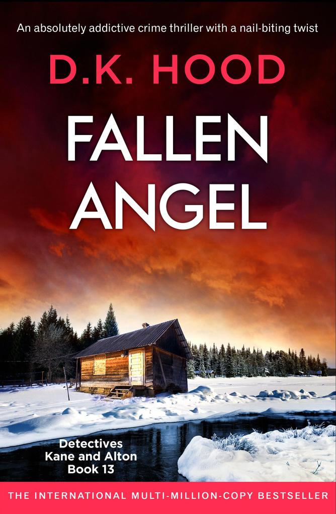 Produktbild: Fallen Angel | D. K. Hood