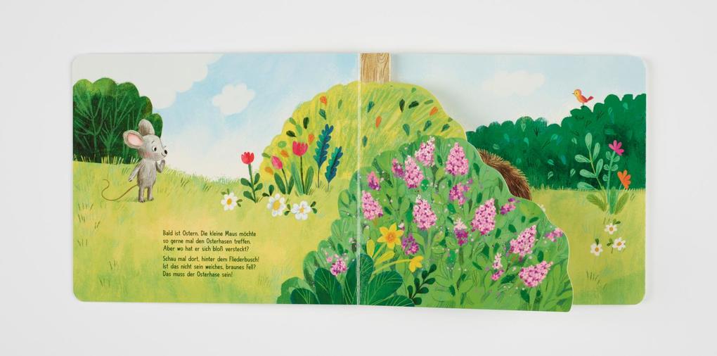 Weitere Ansicht: Wo bist du, kleiner Osterhase? | Sylvia Tress