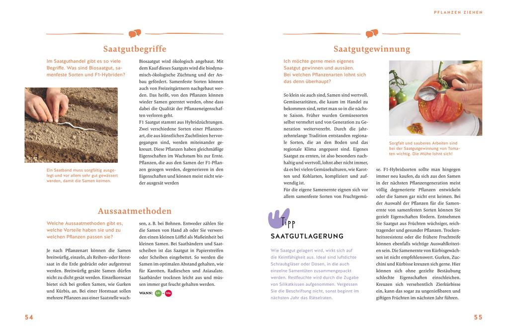 Weitere Ansicht: Gärtnern für Gartenneulinge | Andreas Barlage, Hansjörg Haas, Thomas Schuster, Brigitte Goss