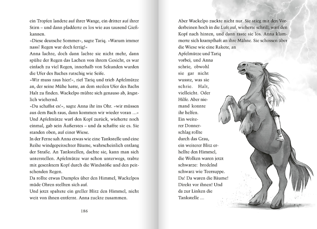 Weitere Ansicht: Manchmal muss man Pferde stehlen | Antonia Michaelis