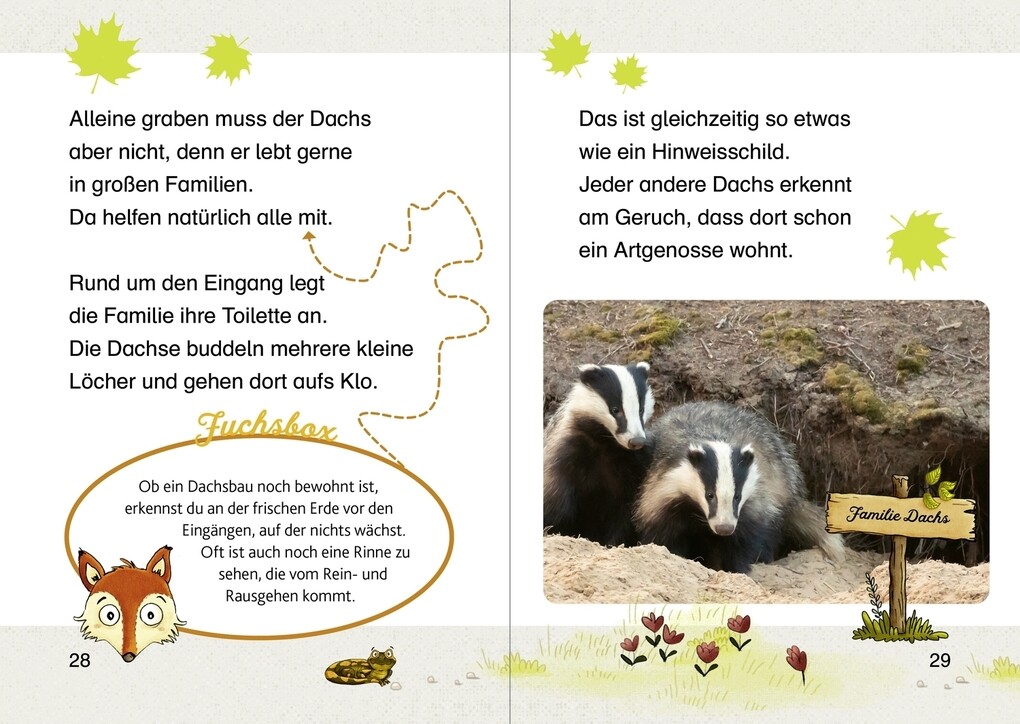Weitere Ansicht: Zuhause bei den Waldtieren | Peter Wohlleben