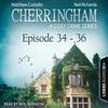 Cherringham: Crime Series Compilations 12, Episode 34-36