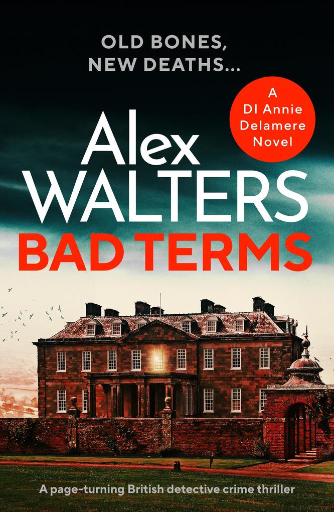 Produktbild: Bad Terms | Alex Walters
