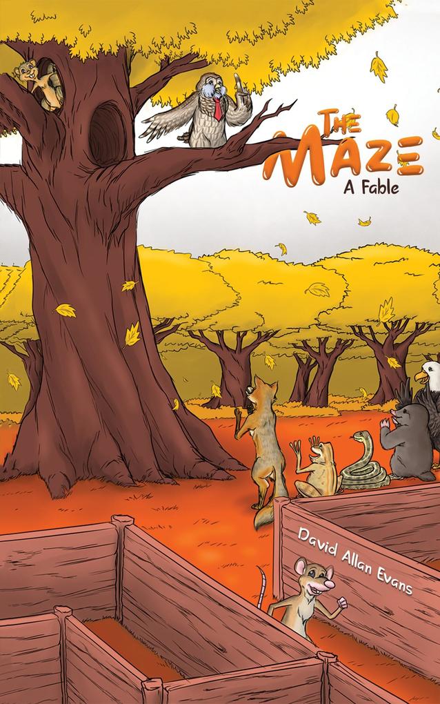 Produktbild: Maze | David Allan Evans