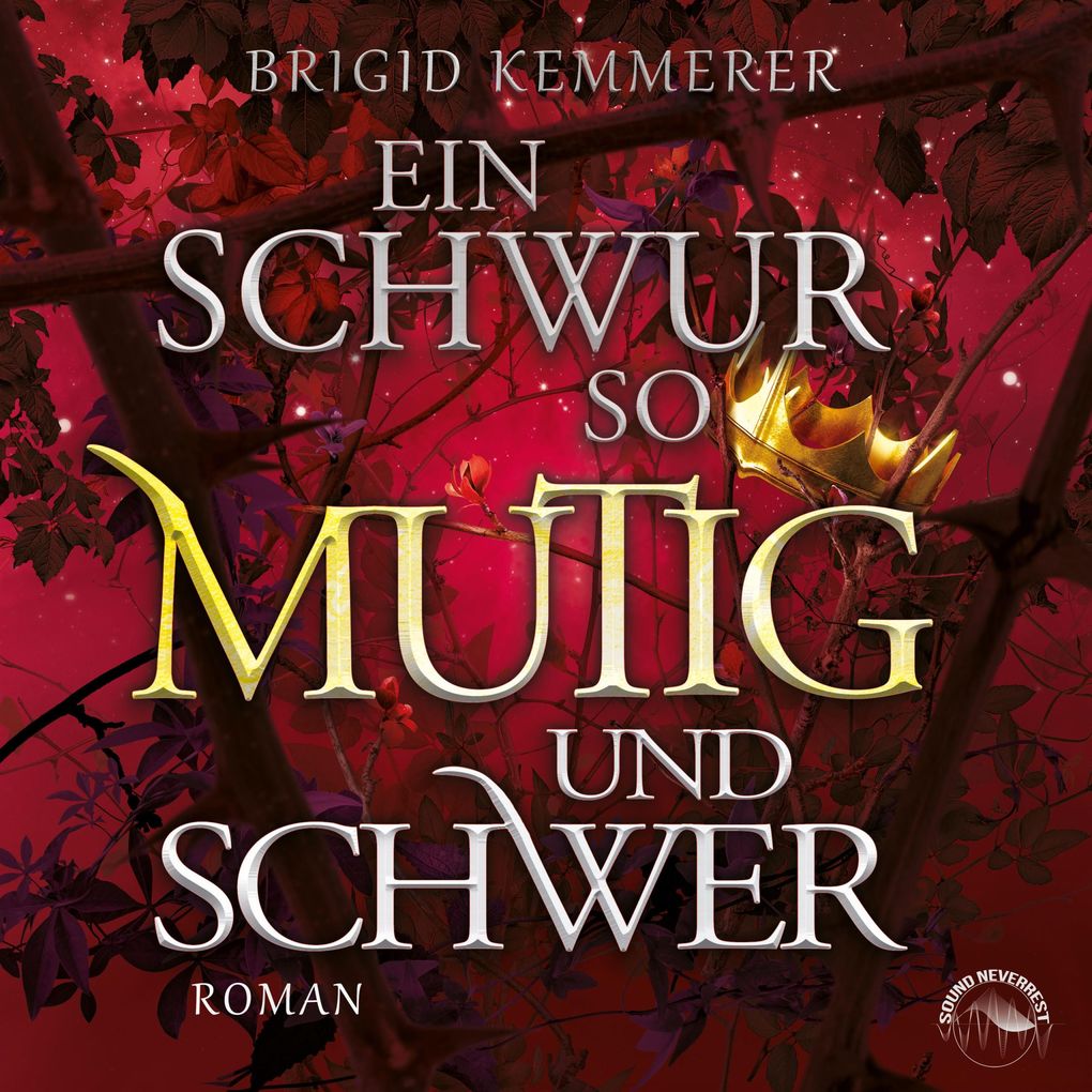 Produktbild: Ein Schwur so mutig und schwer | Brigid Kemmerer