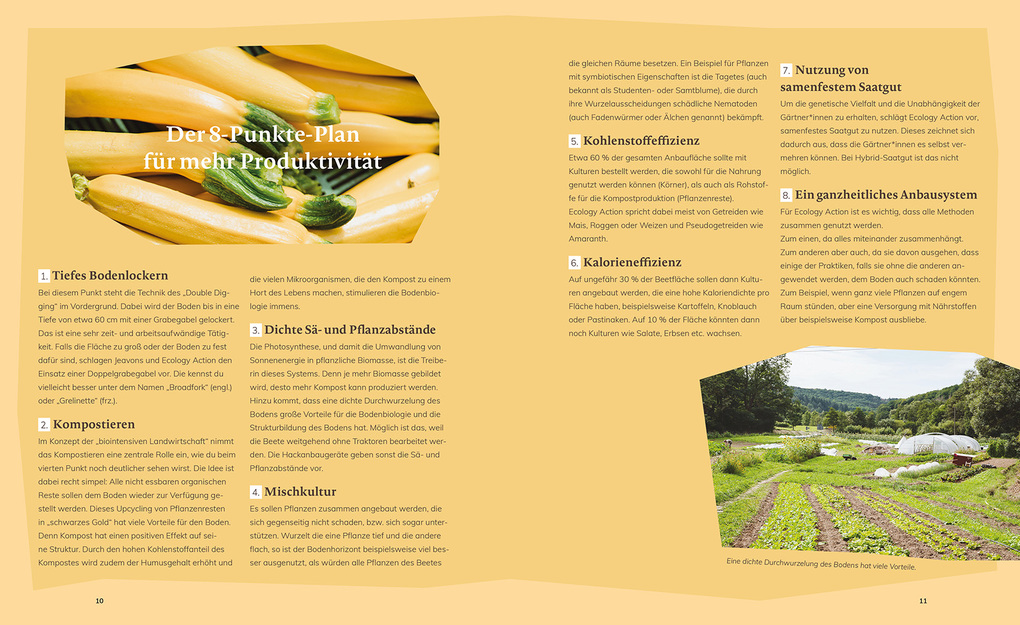 Weitere Ansicht: Market Gardening & Agroforst | Leon Schleep