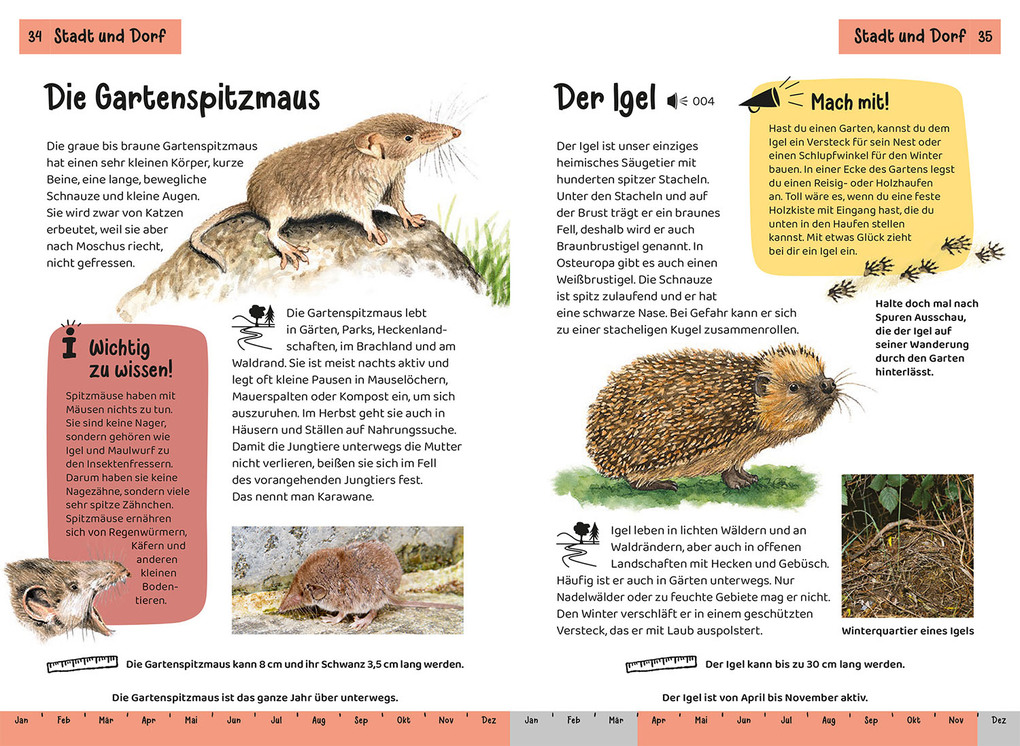 Weitere Ansicht: Tier- und Pflanzenführer. Kindernaturführer | Anita van Saan, Holger Haag, Bärbel Oftring