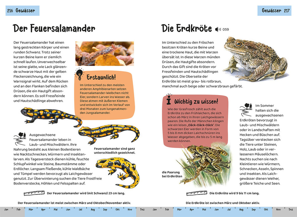 Weitere Ansicht: Tier- und Pflanzenführer. Kindernaturführer | Anita van Saan, Holger Haag, Bärbel Oftring