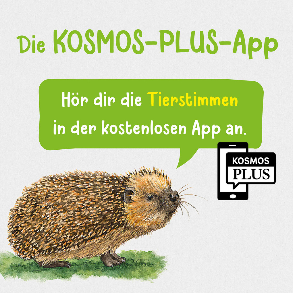 Weitere Ansicht: Tier- und Pflanzenführer. Kindernaturführer | Anita van Saan, Holger Haag, Bärbel Oftring