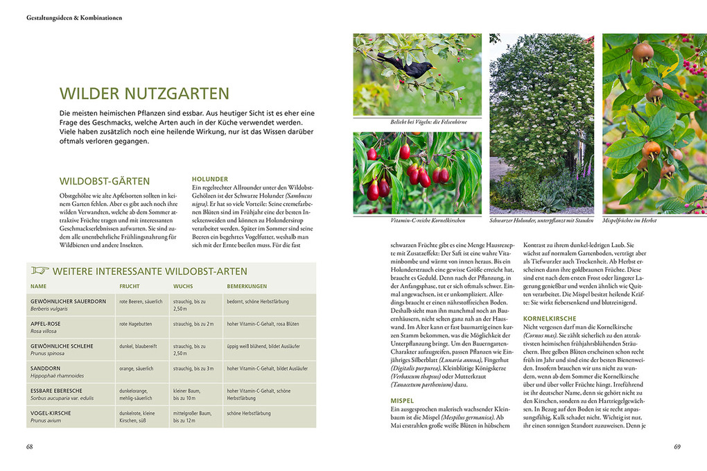 Weitere Ansicht: Wild & bunt | Simone Kern