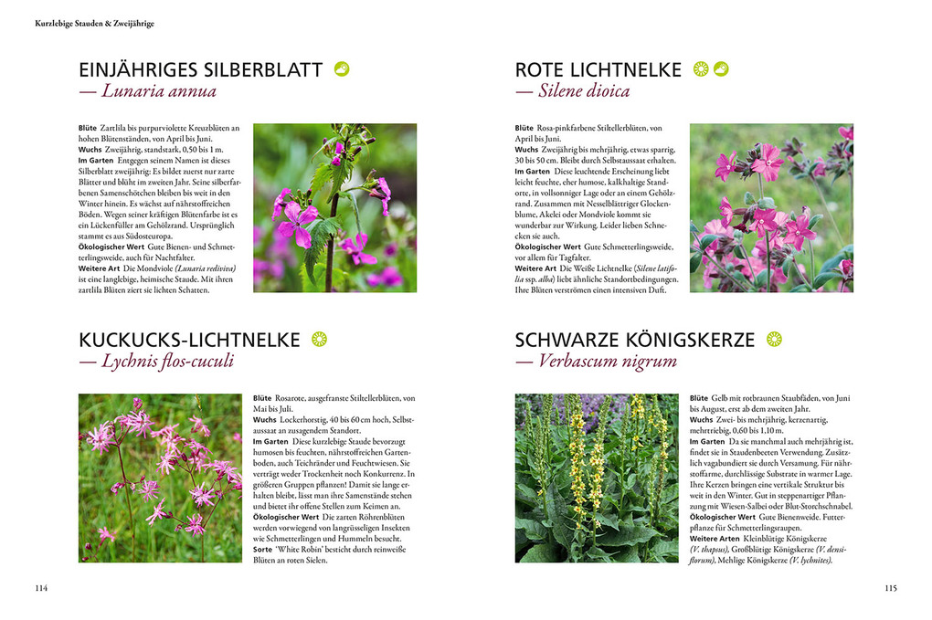 Weitere Ansicht: Wild & bunt | Simone Kern