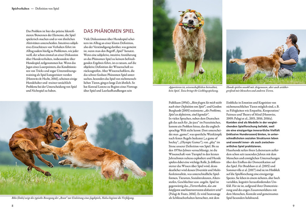 Weitere Ansicht: Und sie spielen doch! | Udo Gansloßer, Mechtild Käufer