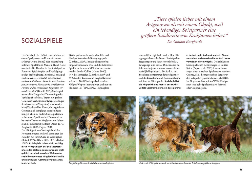 Weitere Ansicht: Und sie spielen doch! | Udo Gansloßer, Mechtild Käufer