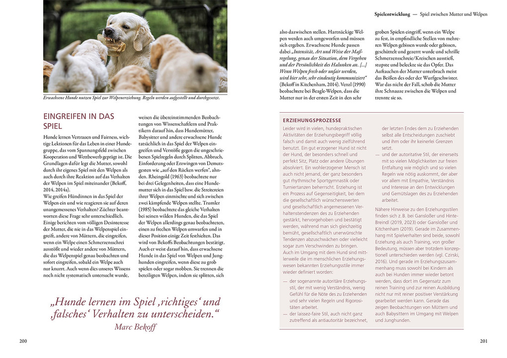 Weitere Ansicht: Und sie spielen doch! | Udo Gansloßer, Mechtild Käufer