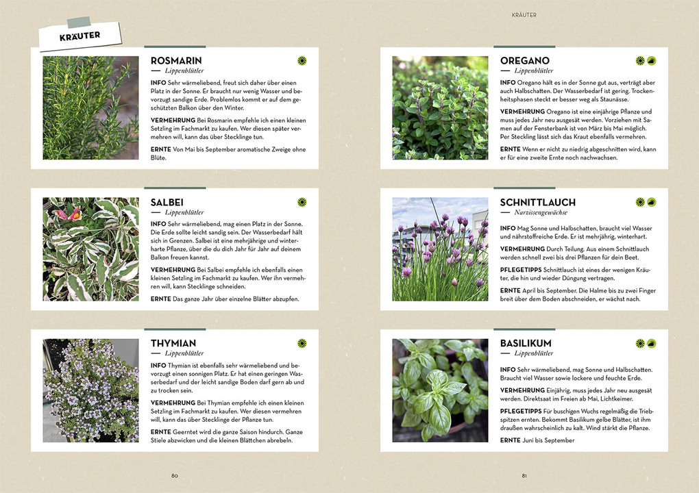 Weitere Ansicht: Mein Balkon-Hochbeet | Lisa-Maria Trauer