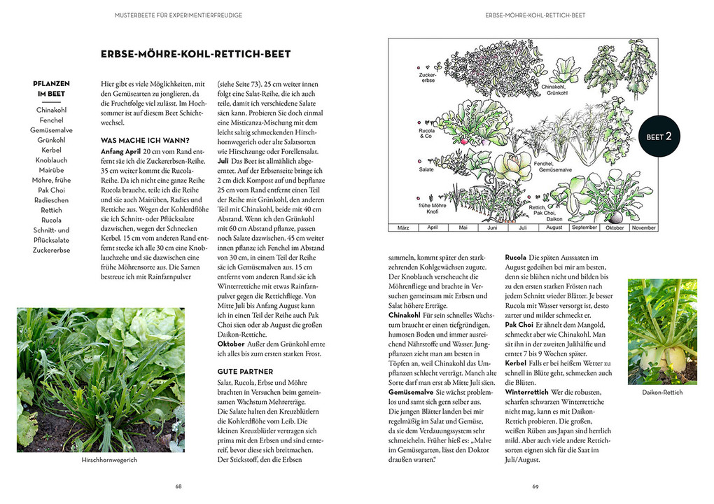 Weitere Ansicht: Wer kann mit wem im Beet? | Ortrud Grieb