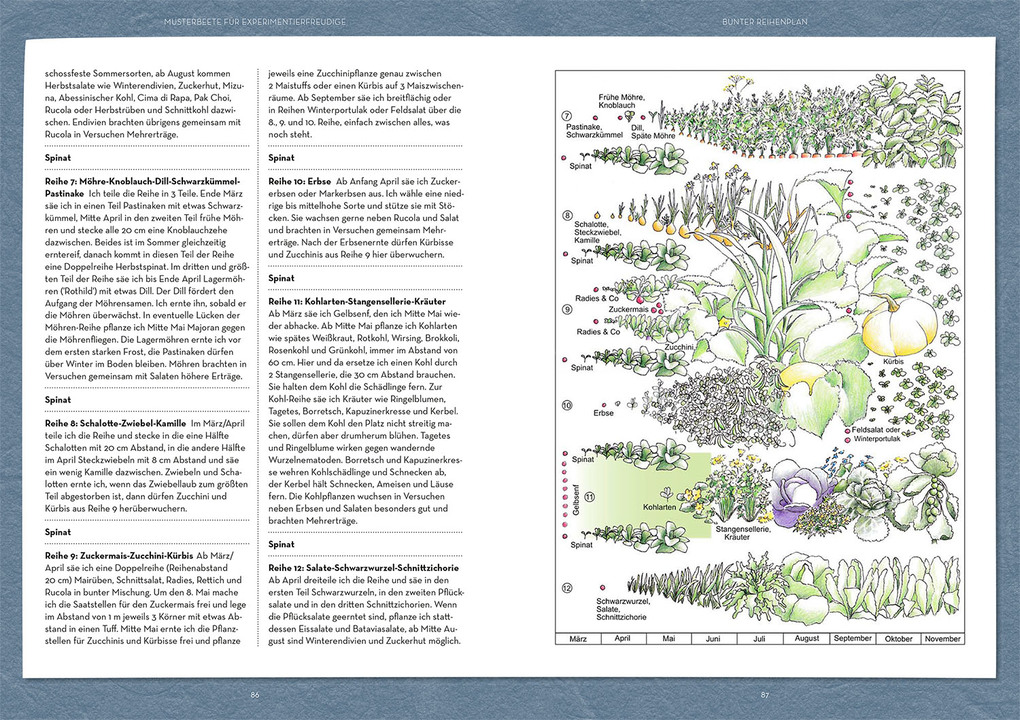 Weitere Ansicht: Wer kann mit wem im Beet? | Ortrud Grieb