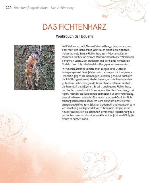 Weitere Ansicht: Heilsames Räuchern | Katja Peters