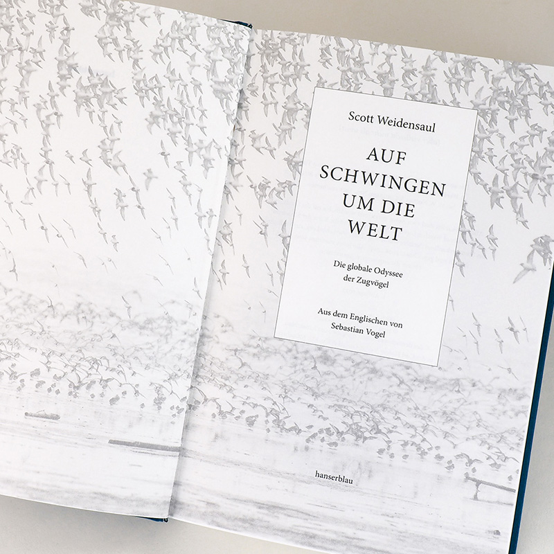 Weitere Ansicht: Auf Schwingen um die Welt | Scott Weidensaul