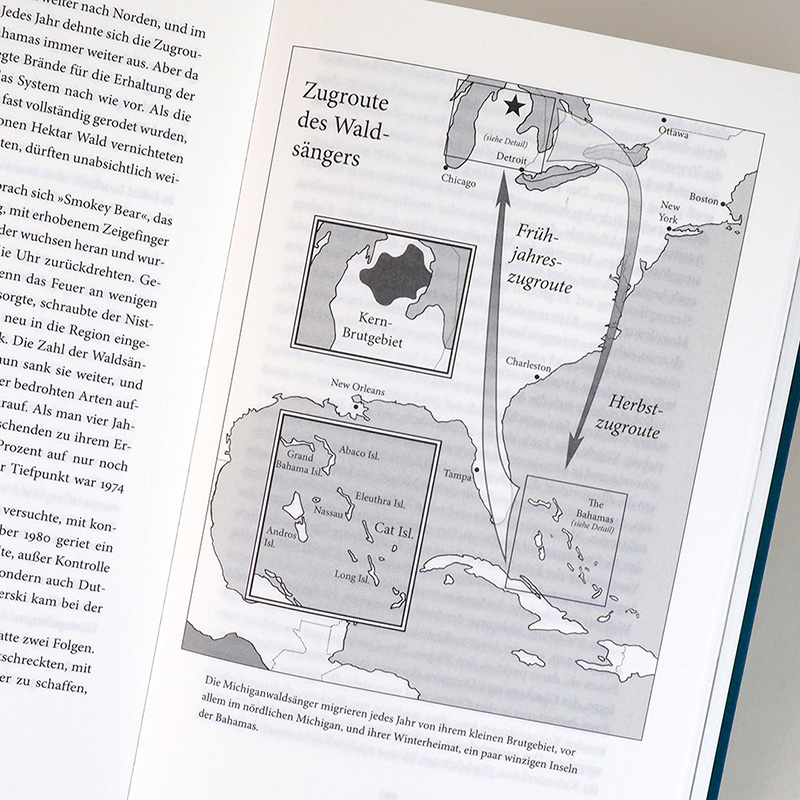 Weitere Ansicht: Auf Schwingen um die Welt | Scott Weidensaul