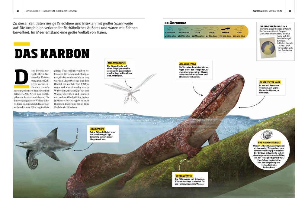 Weitere Ansicht: Dinosaurier. Evolution, Arten, Untergang | Fernando Novas, Damián Voglino