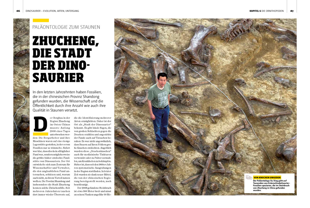 Weitere Ansicht: Dinosaurier. Evolution, Arten, Untergang | Fernando Novas, Damián Voglino