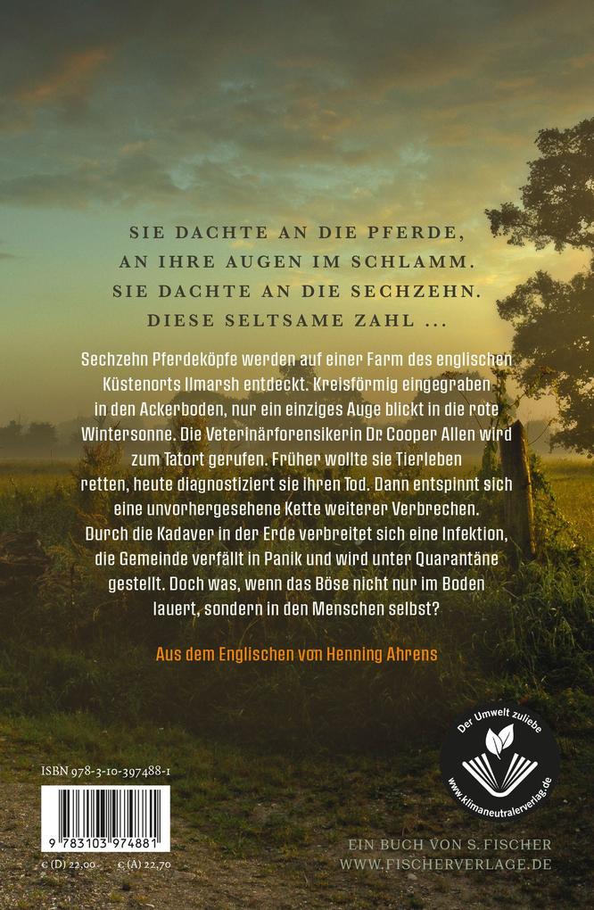 Weitere Ansicht: Sechzehn Pferde | Greg Buchanan